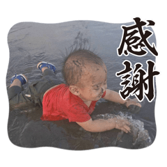 海邊青蛙