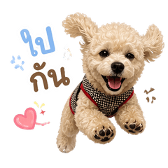 Leila the Fluffy Poodle: Vol.1