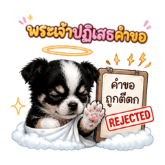 Paw-some 7