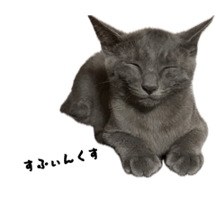 PIA_mycats