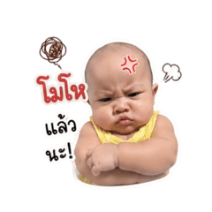 Wayu1_20260428141306