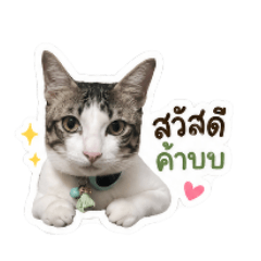 Xmax&Chawi_20260428141321