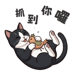 小萌賓士貓的日常生活