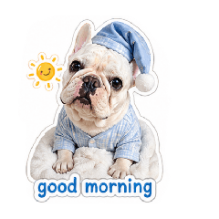 Donut_20260430213155
