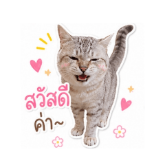 Lucky_ Lucky