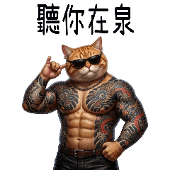 社會喵哥2-霸氣回歸