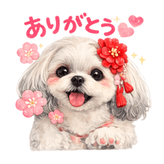 Yoshiaki_20260504230929