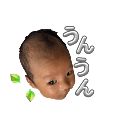 kka_20260504231618