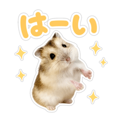 ponzu_20260504224915