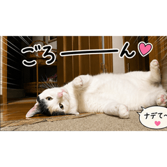 BURI NEKO DAYONE
