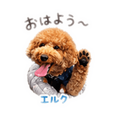 elk_20260504231900