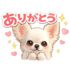 yuuuu_20260504231513