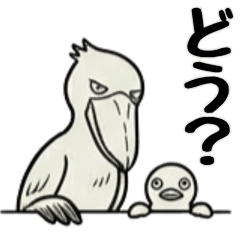 The Stoic Shoebill Stork 4