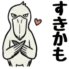 The Stoic Shoebill Stork 5