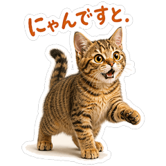 Latte the Tabby Kitten - Funny & Silly