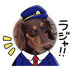TANAKA KIWA_20260504165531