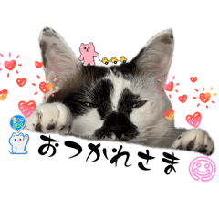 PON_20260504165555