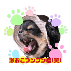 manayumi_20260504170330