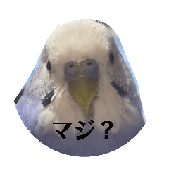 Ru_20260504233327