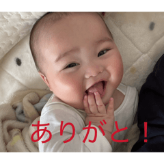 shiraishisoa///