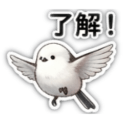 rinko_20260504170256