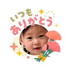 shibanob_20260504234109