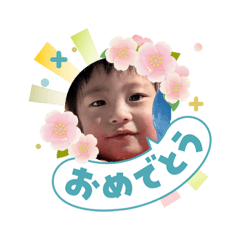 shibanob_20260504233952