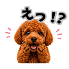 YUZUKABO_20260504234103