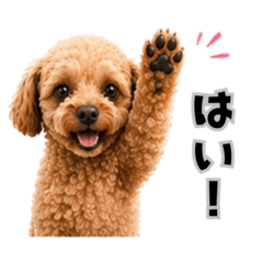 YUZUKABO_20260504233410