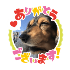 yuki_20260504234605