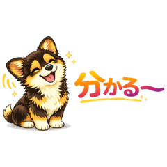 Tanakake_20260504234433
