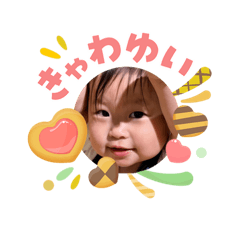 shibanob_20260504234435