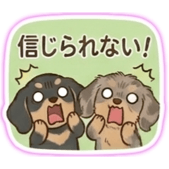 qoo &meru_20260504233814
