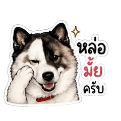 Antty_20260428140943