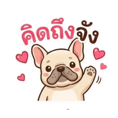 Pang_20260428141820