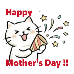 Soft cat_20260504233145