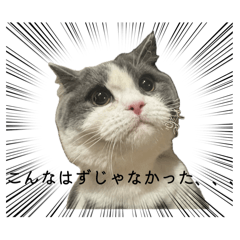 neko_20260504235833
