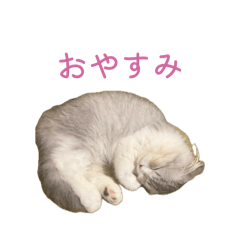 C_20260505000140