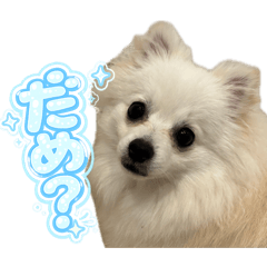 Yu_20260505000805