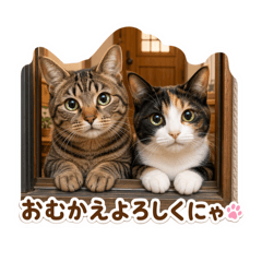 Arinko_20260505000252