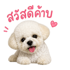 Littleb_20260505021542