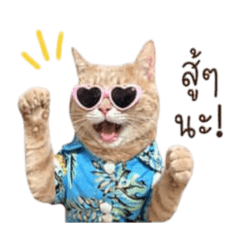 Jaosuameowsom V.2