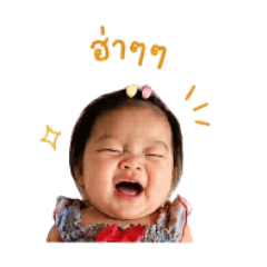 Nidcha_20260428142640