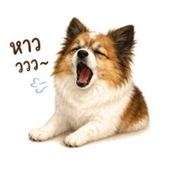 Namcha_CHACHA_20260505021450