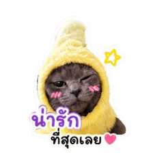 CHAECHITAH_20260505034109