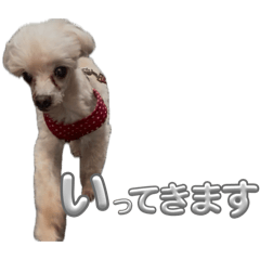 mua._20260504172556