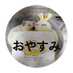 NoNti_20260504172323