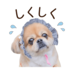 miu_20260504172729