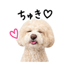 PUU STAMP VER,2