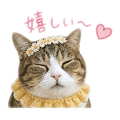 rin_20260504193634